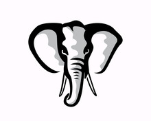 Head Face Mammalian Elephant Mammoth Drawn Art Logo Illustration Inspiration