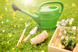 Fototapeta Kawa jest smaczna - gardening and people concept - watering can, garden tools, pots and flowers in wooden box at summer