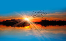 A Group Of Birds Flying Above The Lake In The Rays Of The Sun At Amazing Sunset