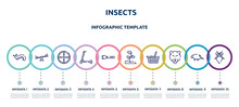Insects Concept Infographic Design Template. Included Slug, Seesaw, Crosshair, Scooter, Torch, Sprout, Food Basket, Panther, Leaf Insect Icons And 10 Option Or Steps.