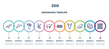 Zoo Concept Infographic Design Template. Included Toucan, Dolphin, Baobab, Bulrush, Dromedary, Fence, Bull Skull, Red Panda, Cage Icons And 10 Option Or Steps.