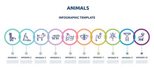 Animals Concept Infographic Design Template. Included Giraffe, Eagle, Goat, Tiger, Seal, Moth, Teasing Stick, Spider, Alpaca Icons And 10 Option Or Steps.