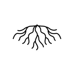 Wall Mural - root logo icon design vector