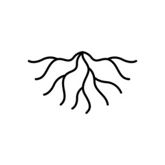 Wall Mural - root logo icon design vector