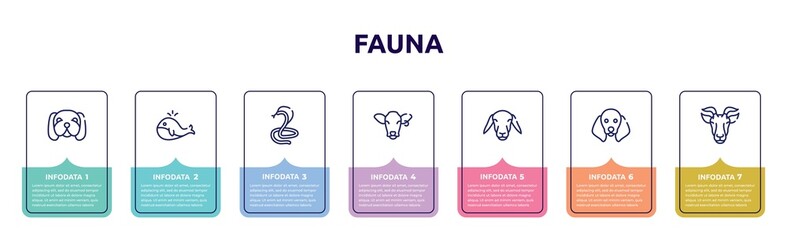 fauna concept infographic design template. included null, big whale, poisonous cobra, cow head, female sheep head, dog with floppy ears, goat head icons and 7 option or steps.