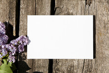 White Canvas Mockup With Lilac Flower On Wooden Wall