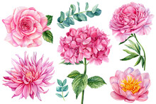 Set Flowers Isolated On White Background. Lotus, Rose, Hydrangea, Dahlia And Eucalyptus. Watercolor Illustration