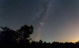 Fototapeta Niebo - prairie silhouette under dark starry sky, night summer outdoor landscape