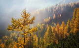 Fototapeta Na ścianę - Autumn at Slemenova Spica in the Julian Alps mountains