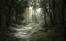 Beautiful Magical Forest Fabulous Trees. Forest Landscape, Sun Rays Illuminate The Leaves And Branches Of Trees. Magical Summer Forest. Illustration