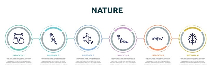 Wall Mural - nature concept infographic design template. included chipmunk, parrot, lizard, peacock, blue whale, oak leaf icons and 6 option or steps.