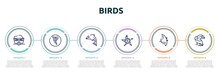Birds Concept Infographic Design Template. Included Wagon, Tornado, Dolphin, Starfish, Manta Ray, Toucan Icons And 6 Option Or Steps.