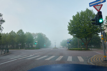 Wall Mural - A new asphalt road (highway) in a fog. Cobblestone pedestrian walkway and alley of young green trees. Street lanterns, traffic lights. Cityscape. Landscaping, dangerous driving, safety concepts