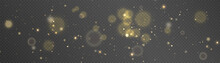 Light Effect With Lots Of Shiny Shimmering Particles Isolated On Transparent Background. Vector Star Cloud With Dust.
