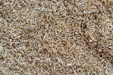 Natural wood sawdust background. Waste wood processing in the workshop.