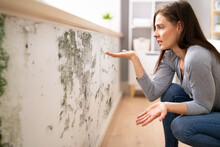 Shocked Woman Looking At Mold On Wall