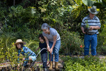 Gardening With Children. Grandparents With Their Daughter And Latin American Grandson Work In Their Home Garden. Hobbies And Leisure, Lifestyle, Family Life.