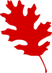 Wall Mural - Red Sharp Oak Leaf Illustration