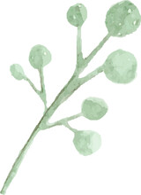 Green Watercolor Branch Illustration Hand Drawn