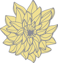 Yellow Flowers And Leaves Vector Hand Drawn Illustration