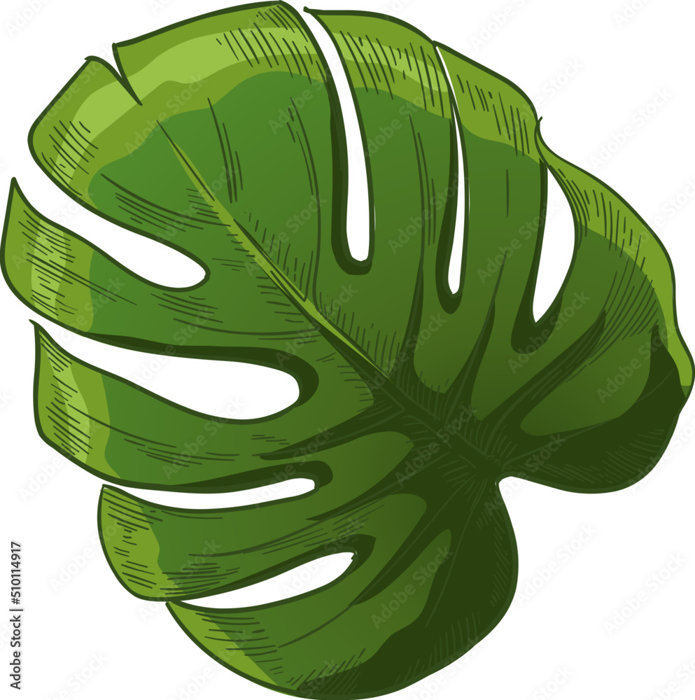 Hand drawn green tropical leaves Stock Vector | Adobe Stock