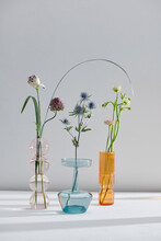 Three Flowers In Decorative Glass Bottles. 