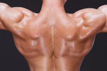 Muscular Back Of Faceless Bodybuilder