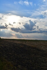 Canvas Print - Sun in the Clouds Over a Rural Farm Field