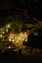 Star Lights And Candles Arranged Under The Old Tree