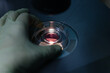© VICTOR TORRES/Stocksy - IVF procedure in petri dish in lab