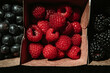 © Vera Lair/Stocksy - blackberries, raspberries, blueberries