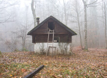 Ladder Leaning Against An Abondoned Cabin In The Woods On A Foggy Day In The Palatinate Forest Of Germany.