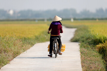 Wall Mural - Daily life in Asia.