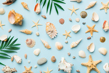 Summer Time Concept Flat Lay Composition With Beautiful Starfish And Sea Shells On Colored Table, Top View