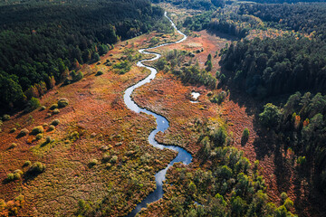 Brown swamps and river in autumn. Aerial view of wildlife