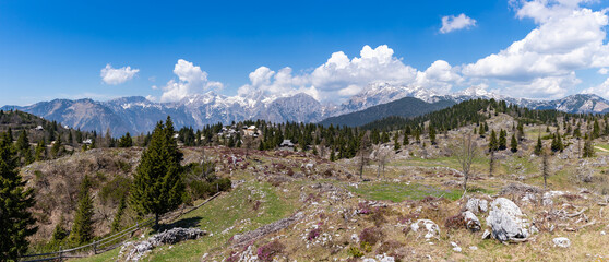 Wall Mural - Kamnik-Savinja Alps and Velika Planina Landscape