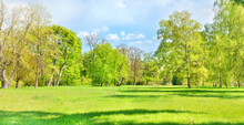 Green Park Forest With Green Trees And Green Grass On Green Field