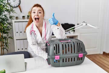 Sticker - Young redhead veterinarian woman checking pet health smiling happy and positive, thumb up doing excellent and approval sign