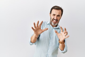 Poster - Middle age hispanic man with beard standing over isolated background afraid and terrified with fear expression stop gesture with hands, shouting in shock. panic concept.