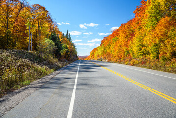 Wall Mural - Deserted highway through a forest at the peak of fall foliage on a sunny day. Ontatio, Canada.