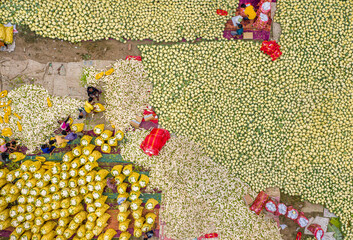 Wall Mural - Farmers put cauliflower out to sale at a market