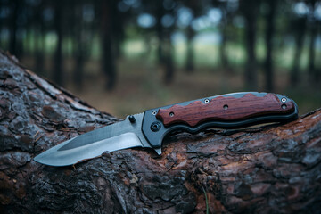 Tactical knife survival and protection difficult conditions, lies trunk tree in forest.