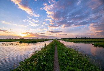 Wall Mural - path over a dike in holland under colorful skies during sunset