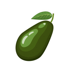 Wall Mural - Avocado whole with leaf, vector illustration isolated on white background in flat style