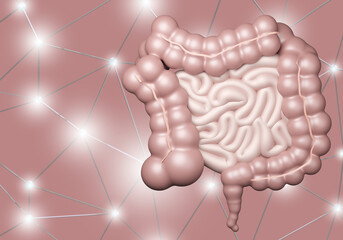 Wall Mural - Human intestine. Intestines on pink background. Gastrointestinal tract imaging. Concept of taking care of health of intestinal microflora. Volumetric model of intestine. People's health. 3d image.