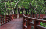 Fototapeta Miasto - The wooden bridge is a beautiful natural walkway.