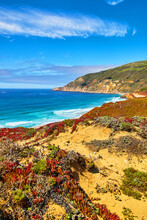 Ocean Waves Hitting West Coast Next To Sandy Beaches And Colorful Spring Plants
