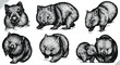 black and white engrave isolated wombat set vector illustration