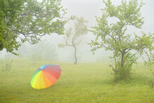 A Rainbow-colored Umbrella Surrounded By Trees Lying On The Florescent Green Grass. Use Of Soft Focus Maintains The Feel Of The Foggy Atmosphere.