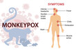 Symptoms of the monkey pox virus. The epidemic virus spreads from animals such as monkeys, squirrels, rats.  This causes skin infections.